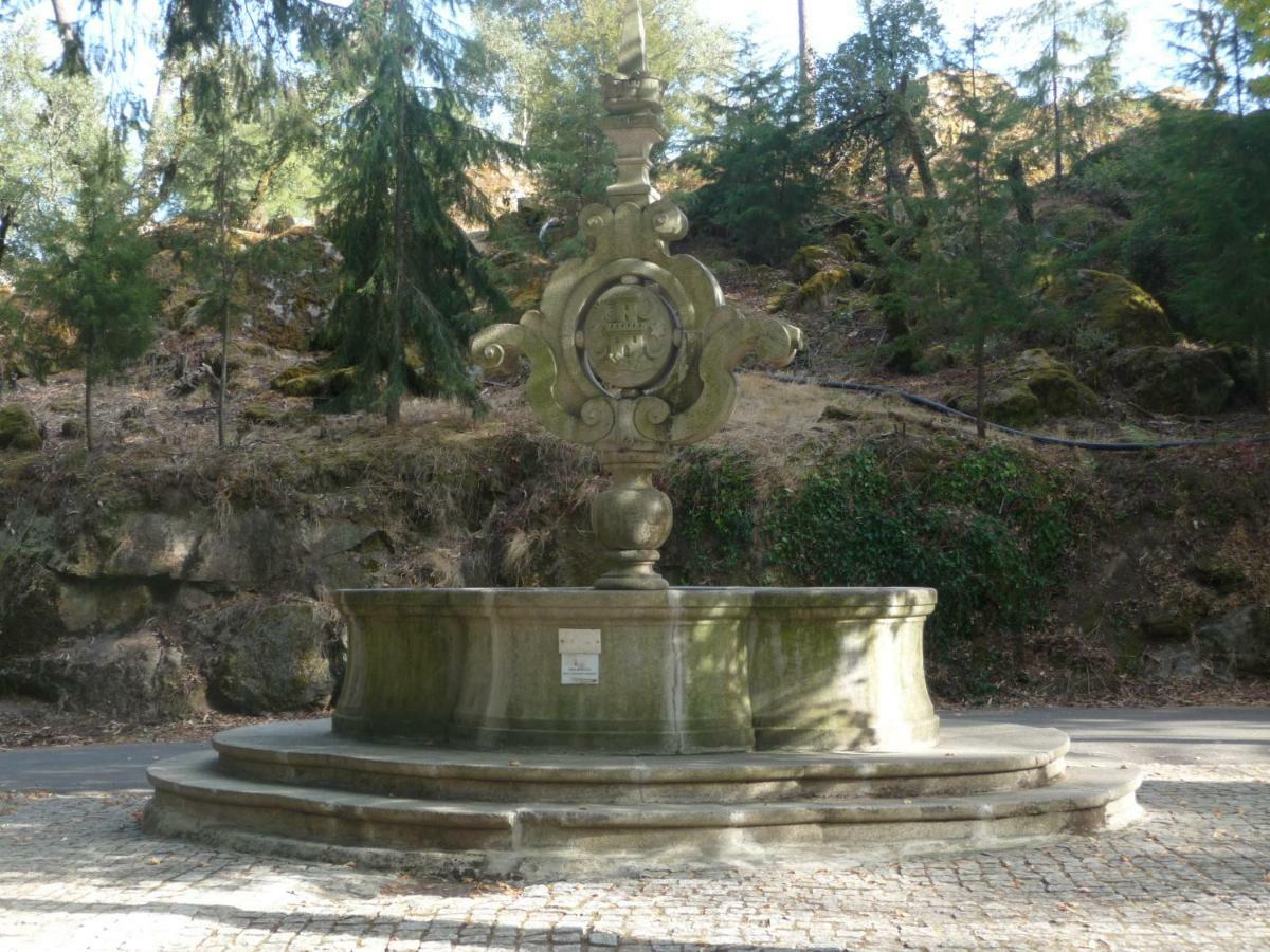 Refugio Da Vila - Refuge Of The Village Vouzela Exterior foto